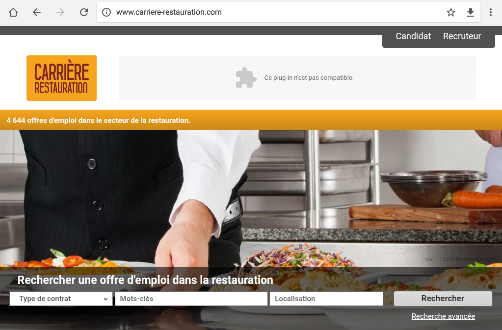 			Recherche d'offres d'emploi dans la restauration - 			